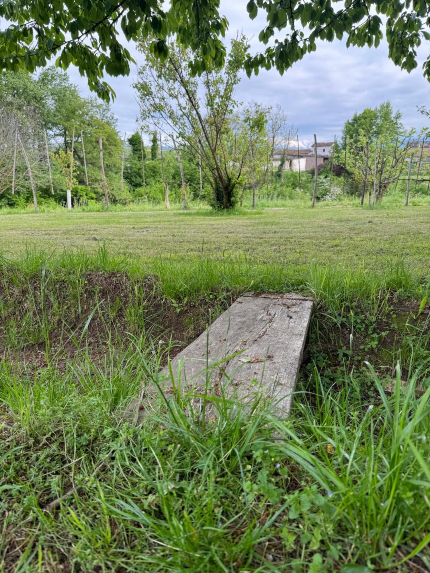 Elleci * Mondovi